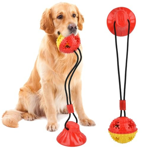 BUYGOO Boule jouet pour chiens avec ventouse, jouets à mâcher, jeu chien multifonctionnel avec corde élastique, boules à mâcher pour chien, boule à mâcher dents pour sols carrelés murs