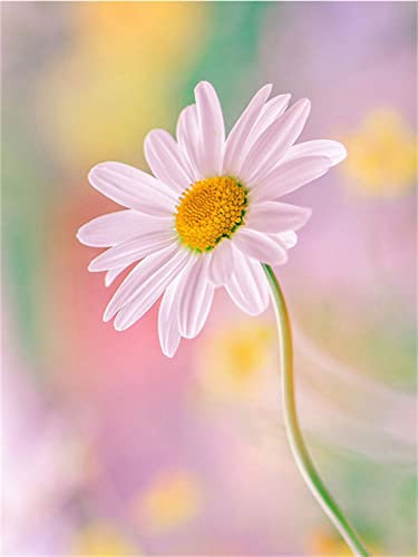 Diamond Painting, DIY Kinder Diamant Painting Bilder, Pflanze Blume 5D Erwachsene Groß Vollbohrer Diamant Malerei Cross Stickerei Malerei Kits, für Wohnwand Wand Dekoration Geschenk 80x120cm