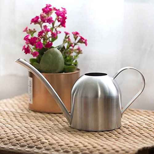 SEAFRONT Arrosoir en Acier Inoxydable, Pot d'Arrosage, Arrosage Intérieur ou Extérieur comme Bec Long de Fleur de Plante de Jardin, Pot d'Arrosage (500ML)