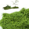 VMUTGA 200g Mousse Artificielle Decoration, Fausse Mousse Verte Mousse Décorative Plantes Artificielles Mousse Florale Vegetal Artificiel pour Bricolage Artisanat Miniature Murale Maison Décoration