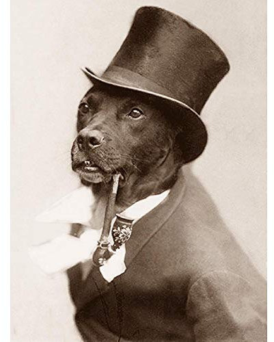 Wee Blue Coo Benque Kindermann Dog Smoking Pipe Art Print Poster Wall Decor Kunstdruck Poster Wand-Dekor-12X16 Zoll