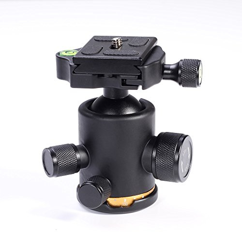 FOTGA Schwenker Stativ-Kugelkopf (mit 3/8 Schraube Halterung) + Schnellwechselplatte (mit 1/4 Gewinde) für DSLR-Kamera Foto Video Studio (Load Kapazität: 12KG)