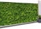 IDMarket - Brise Vue occultant 1,5 x 10 M imprimé Feuillage 160 GR/m²