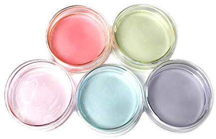ULAB Glas-Petrischalen, Gewebekulturplatte, Durchmesser 100 x 20 mm, 3,3 Borosilikatglasmaterial, 5 Stück, UMS1003