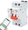 Jadeshay Diferencial Auto Rearmable WiFi,2P 63A Tuya Smart Interruptor Diferencial Rearme Automatico Inteligente con Protección Sobretensión y Subtensión,Control Remoto a Través del Teléfono Móvil