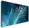 Paul Sinus Art 120x60cm Feder von einem Vogel Panorama Leinwand Bild XXL Format Wohnzimmer Deko Kunstdrucke