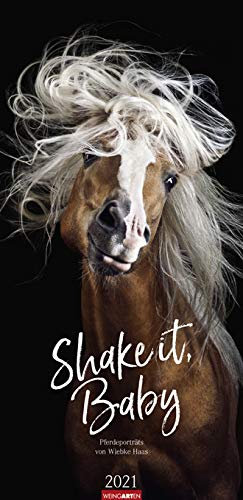 Shake it, Baby - Kalender 2021 - Weingarten-Verlag - Fotokalender im Vertikalformat - Wandkalender mit fröhlichen Pferdeportraits - 29,8 cm x 67,8 cm