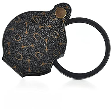NIANOPKM Neu Mini Lupe,15 Fache Taschenlupe Klappbar,Leselupe mit Schutztasche Holster,Handlupe ür Bücher, Zeitungen, Landkarten, Münzen,Basteln,Durchmesser 70mm
