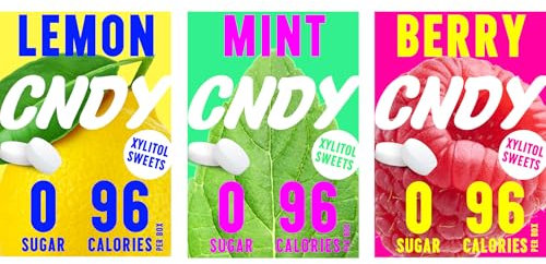CNDY Mints | Spearmint, Orange, Berry Flavoured | Xylitol Mints | Aspartame Free | Sugar Free, 60 Cal | 25 Pieces (Pack of 12)