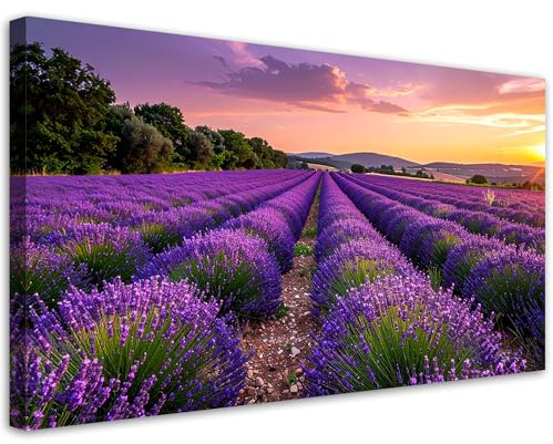 Feeby Leinwandbild - Bilder Wohnzimmer - Lavendelfeld Sonnenuntergang - 80x40 1tlg - Deko Schlafzimmer - Wanddekoration - Aesthetic - Groß Moderne Bild - Foto auf Leinwand