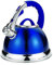 3.5L Stainless Steel Whistling Kettle with Silicone Handle (Blue)