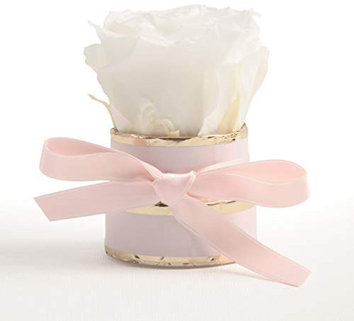 ROSEMARIE SCHULZ Heidelberg Kleine Rosenbox weiß rund Infinity Rose - Blumenbox 1 konservierte Rose (Rosa-Weiß)