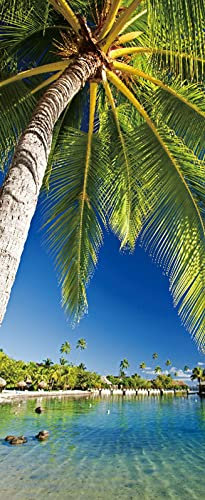 A.Monamour Türtapete Selbstklebend Türfolie Türposter 3D Tropische Insel Kokospalme Naturlandschaft Vinyl Folie Türdeko Tapete Wandbild Türaufkleber Türtattoo 90 x 200 cm