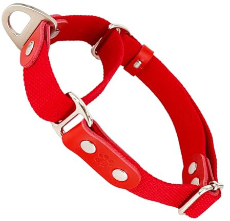 Martingalhalsband Hundewürgehalsband, Anti-Zug, Poly-Baumwolle und Leder. M. Rot & Rot