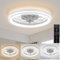 Deckenventilator mit Beleuchtung und Fernbedienung Modern, 48 cm Deckenleuchte mit Ventilator Lampe Decke Dimmbar, Leise Ventilator mit Licht LED Umkehrbaren DC Motor für Schlafzimmer Wohnzimmer