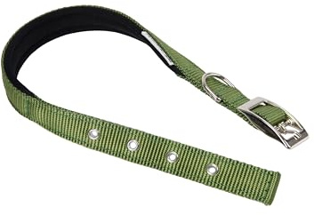Ferplast Hundehalsband für kleine Hunde, verstellbar, gepolstert, Nylon, Metallschnalle, Halsumfang 23–31 cm, Dunkelgrün