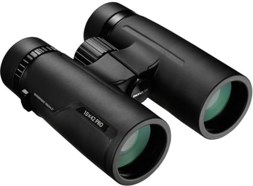 Olympus 10 X 42 PRO Fernglas, Holzkohle Schwarz