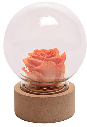 ROSEMARIE SCHULZ Heidelberg Mini-Rose im Glas ewige Blume Orange Rund echte langhaltende Rose mit Glaskuppel (Small, Orange)