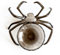 EBbels Halloween Spinnennetz Süßigkeiten Korb, Kunststoff Obst Schüssel Spinne Süßigkeiten Korb, Snack Teller Tablett, Dessert-Tablett Halloween-Party-Deko Essen Servieren Schale (Schwarz)