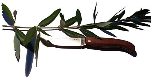 Prosudweb Couteau Sport Pliant Joker en Bois d'olivier