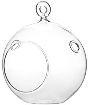 wgv Planta Terrario/portavelas de cristal para colgar, 11,4 cm