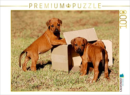 CALVENDO Puzzle Nichts innen | 1000 Teile Lege-Größe 64 x 48 cm Foto-Puzzle für glückliche Stunden