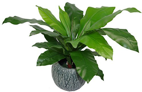 Leaf Künstlicher Vogelnest Farn, aus Kunststoff, 60 cm, Schwarz, 60 cm großer Buschy, 60cm Large Bushy, LEAF-7050