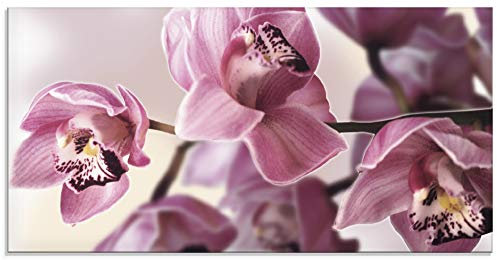 ARTland Wanddeko Glasbilder Wandbild Glas Bild einteilig 100x50 cm Querformat Natur Asien Blumen Blüten Orchideen Landhaus T5EI