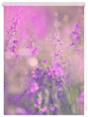 Lichtblick Klemmfix Tageslicht-Rollo mit Motiv, ohne Bohren, Blickdicht, Seitenzugrollo, Made in Germany, Blumenwiese - Fuchsia Violett 70 x 150 cm (B x L)