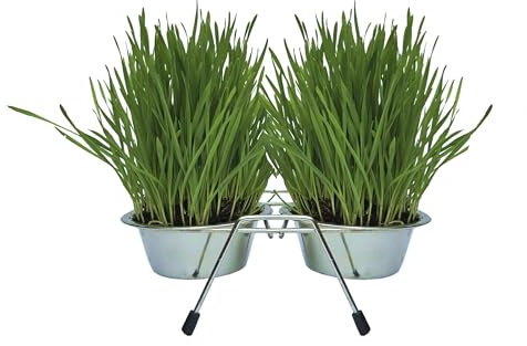 Cat FurNature - Stainless Steel Bowls with Stand and Grow Your Own Cat Grass Kit