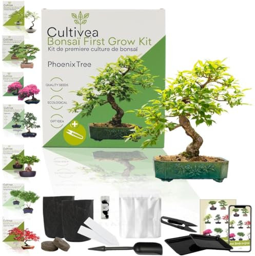 CULTIVEA® Bonsai-Set First Bonsai Phoenix Tree – Pflanzfertig mit Samen, Erde & Zubehör – Bonsai-Anzucht für Zuhause | Originelle Geschenkidee