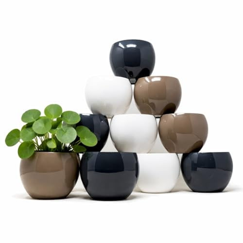 Vasi Fiori Plastica da Esterno Interno 11 cm | Set di 12 Vasi Decorativi | Interno Moderni in Plastica | Resistenti UV | Vasi Piccoli per Piante Grasse, Cactus e Altre Piccole Piante