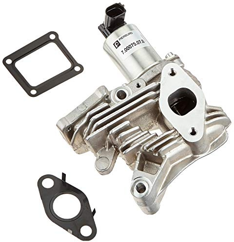 PIERBURG AGR-Ventil 7.00075.07.0 Betriebsart: elektrisch, Magnetventil | Kompatibel mit: RENAULT GRAND SCÉNIC II, LAGUNA II, LAGUNA II Grandtour, MEGANE II, MEGANE II Kombi, MEGANE II Stufenheck