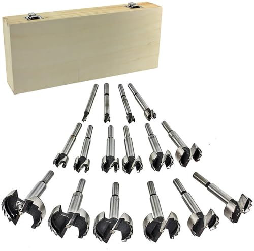 Brocas Madera,Juego Brocas Madera,Brocas Forstner,16Pcs Juego de Brocas para Madera (6,10,13,16,19,22,25,28,30,32,35,38,41,44,48,51,54mm)Hecho de Acero de Titanio de Tungsteno, para Perforación Madera
