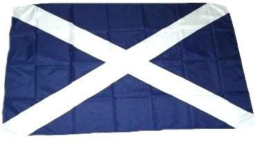 Fahne/Stockflagge Schottland 30 x 45 cm Flagge