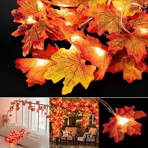 HENMI Guirlande lumineuse 20 LED en érable - Feuilles d'érable - Pour extérieur, maison, Noël, Thanksgiving, décoration