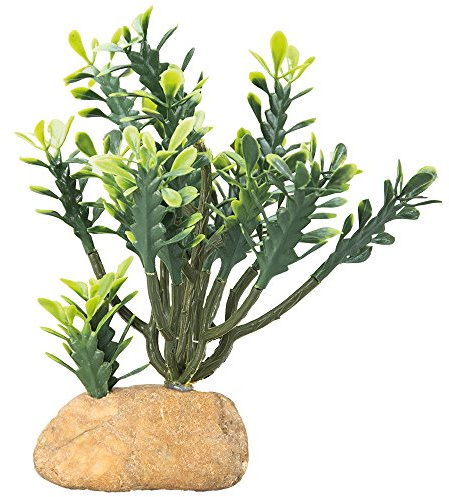 HOBBY Terraristik Euphorbia M I Dekorative Terrarienpflanze I 15 × 8 × 24 cm I Wüstenpflanze für naturnahe Gestaltung I Terrarium Dekoration aus hochwertigem, schadstofffreiem Material gefertigt