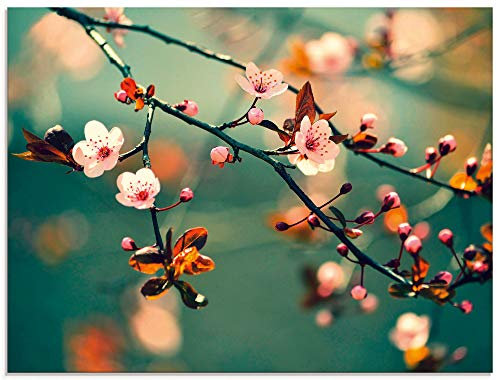 ARTland Glasbilder Wandbild Glas Bild einteilig 60x45 cm Querformat Blumen Kirschblüte Botanik Blüten Natur Asien Japan Moderne Kunst T5VP
