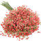 N&T NIETING Gypsophila Künstliche Blumen, 10 Stück Gypsophila Kunstblumen Schleierkraut Gefälschte Blumen Blumensträuße für Hochzeit Braut Party Home Decor (Rosa)
