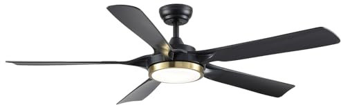 Newday Ventilatore da Soffitto Grande, 142cm con Luce e Telecomando Nero, 5 Pale con Luce Dimmerabile, Ventola Soffitto con Motore DC per Soggiorno Camera da letto
