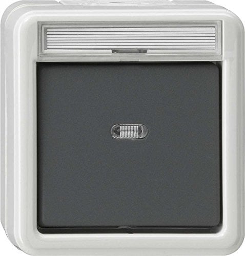 Gira Wippschalter 011230 Aus 2-pol Kontroll WG AP grau, 250 V