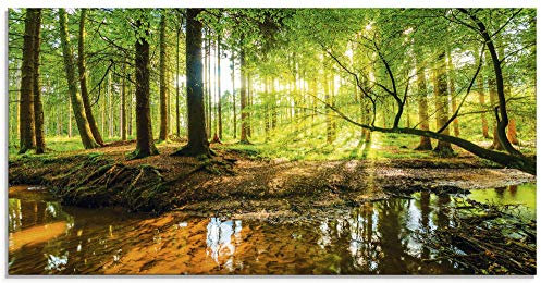 ARTland Wanddeko Glasbilder Wandbild Glas Bild einteilig 60x30 cm Querformat Wald Natur Landschaft Bäume Bach Sonne Frühling T9IO