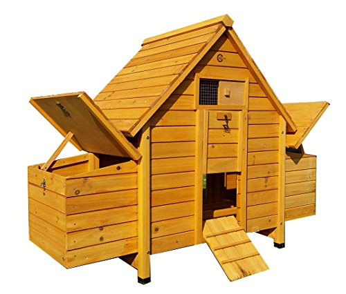 Cocoon 6002N Compact Chicken Coop – Wooden Hen House with 4 Nesting Boxes, Pull-Out Tray & Secure Access – Ideal for 4–6 Birds