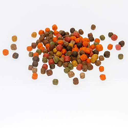Koi Koifutter * 5-Sorten-Mix * 15Liter + 1 Liter Seidenraupen (3-6mm)