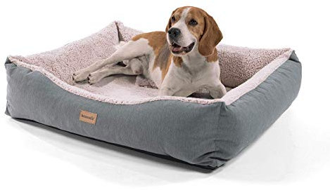 brunolie Emma Hundekorb, waschbar, hygienisch und rutschfest, luftiges Hundebett mit Kissen zum Kuscheln, Größe M (80 x 70 x 20 cm) Beige