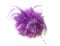 Flower Feather Bead Corsage Hair Clips Fascinator Hairband and Pin (Lilac)