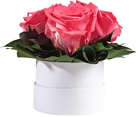 ROSEMARIE SCHULZ Heidelberg Infinity Rosenbox weiß rund konservierte Blumen Korall - 3 Infinity Rosen Durchmesser 15 cm - Geburstag Geschenk für Frauen (Korall, Medium)