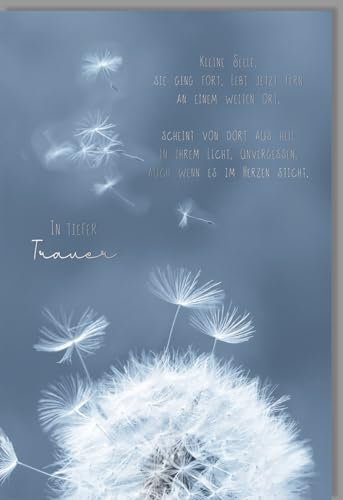Trauerkarte Sternenkind Pusteblume, mit Silberfolie Spruch Kleine Seele - mit Umschlag