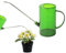 Regadera Pequeña - 2L Regadera De Plásticos para Interior Y Exterior, Regadera Bonsai con Caño Largo, Regador De Plantas para Jardín, Regadera para Plantas De Interior para Plantas En Maceta