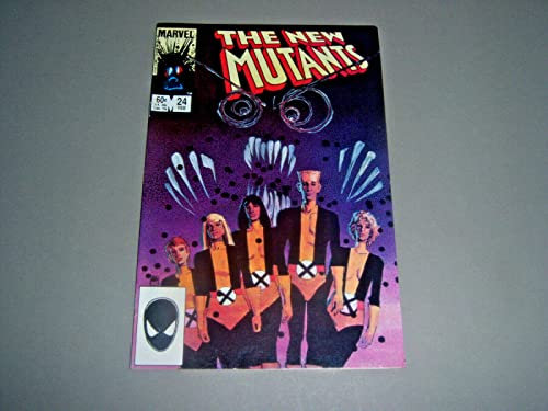 Marvel Comic Der unglaubliche Hulk Taschenbuch Nr. 25